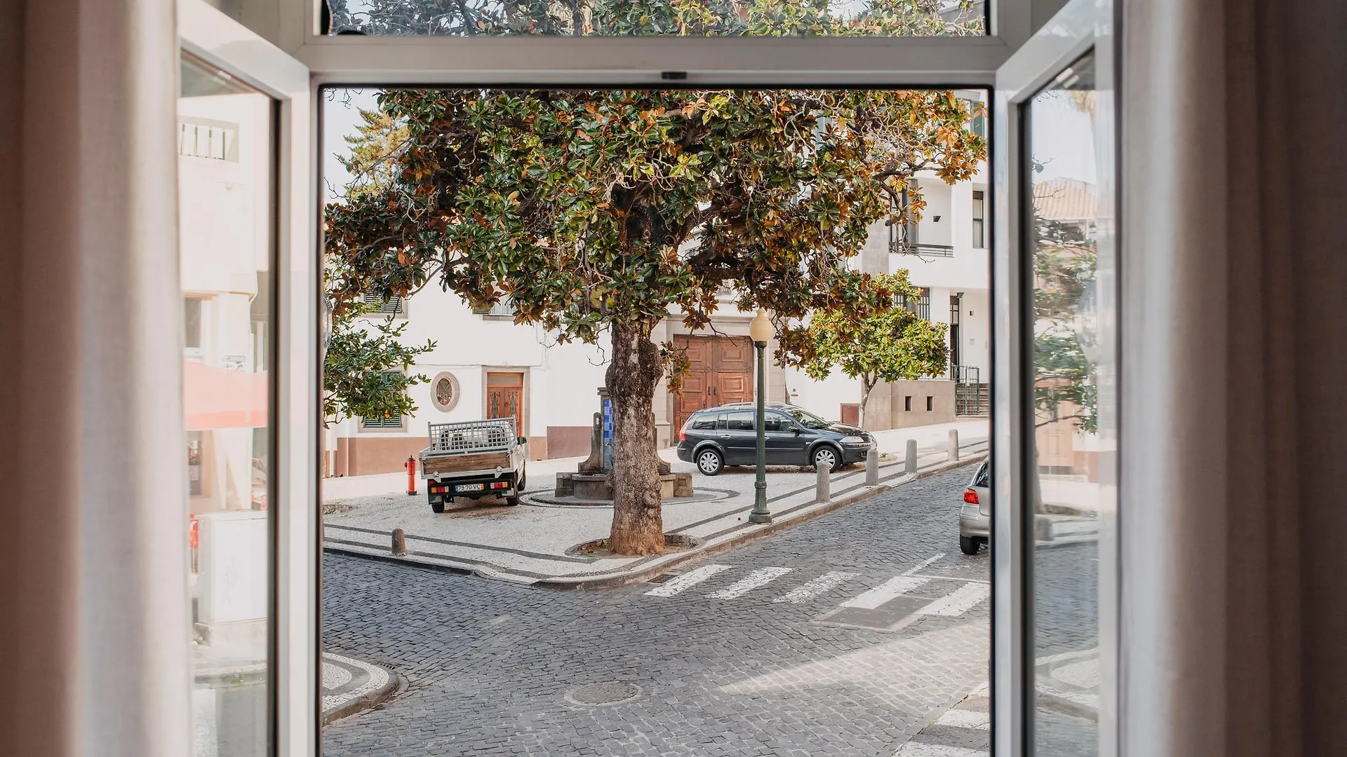 Aspa - Alegria Studios Funchal  Portugal