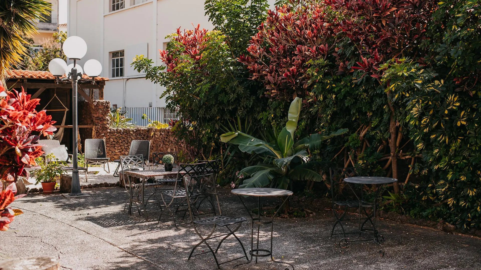 Aspa - Alegria Studios Funchal  Penzion Funchal (Madeira)